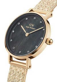 Daniel Wellington PETITE PRESSED STUDIO LUMINE  - Reloj - gold-coloured