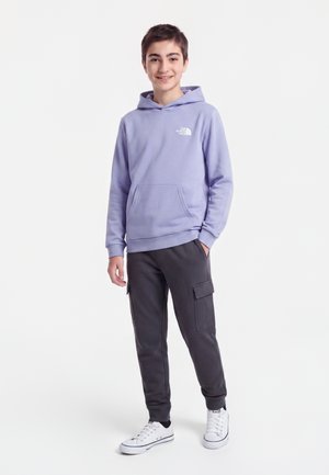 The North Face TEEN EVOLUTION BOX PULLOVER HOODIE UNISEX - Sweat à capuche - pale plum