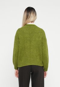 Grüner Strickpullover mit lässiger Passform, runder Halslinie, überschnittenen Schultern und ribbed Bündchen und Saum.