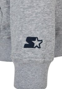 Starter LABEL RAGLAN  - Hoodie - heathergrey