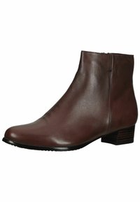 Bota de cuero marrón hasta el tobillo con un diseño elegante, puntera redondeada y un tacón bajo apilado. Textura suave con un detalle de costura mínimo.