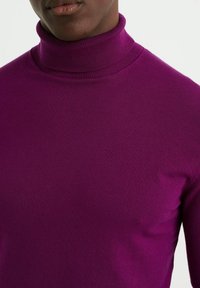 Pull à col roulé violet en tissu tricoté doux, doté d'un col haut côtelé et d'une silhouette ajustée. Pas de motifs ni d'accents visibles.