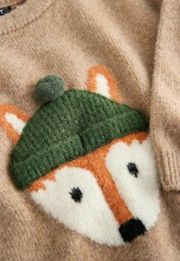 Knit džemperis bēšā krāsā ar lapsas dizainu, kam ir apelsīnu un baltas krāsas kažoks, zaļa ribota cepure un melnas acis. Mīksta tekstūra.