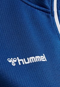Top sportivo blu con texture a righe verticali, branding bianco e chiusura con zip. Il materiale appare leggero e traspirante.