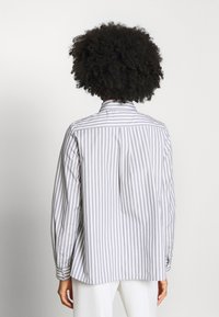 Lange mouwen blouse van lichtgewicht stof, met afwisselend grijs en witte verticale strepen, een klassieke kraag en plooidetails op de achterkant.