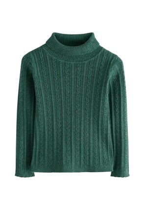 Grüner, kabelstrickartiger Rollkragenpullover mit vertikalen Mustern und langen Ärmeln, vor einem weißen Hintergrund präsentiert.