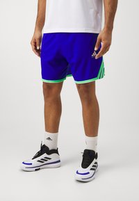 Shorts deportivos de color azul real con ribetes verdes, que presentan tres franjas negras a los lados. Se llevan con zapatillas negras y blancas.