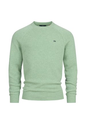 Hellgrüner Strickpullover mit Rundhalsausschnitt, gerippten Bündchen und Saum. Besitzt ein kleines dunkelblaues Logo auf der Brust.