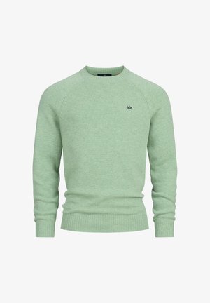 Hellgrüner Strickpullover mit Rundhalsausschnitt, gerippten Bündchen und Saum. Besitzt ein kleines dunkelblaues Logo auf der Brust.