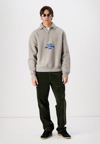 Pal Sporting Goods ALPINE ZONE HALF ZIP C - Sweatshirt - taupe