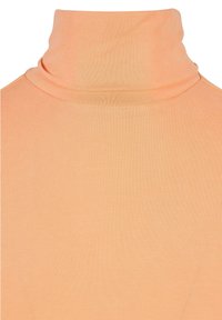 Maglione a collo alto color pescato realizzato in morbido tessuto a costine. Presenta un colletto alto e una superficie liscia con una silhouette aderente.