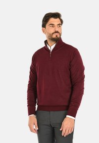 Maglione bordeaux con colletto a mezza zip, maniche lunghe e polsini e fondo a coste, realizzato in un tessuto liscio e morbido.