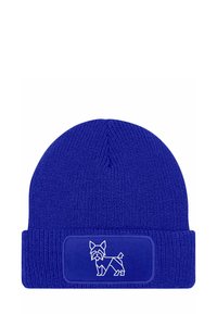 Unselected, yorkshire terrier blau