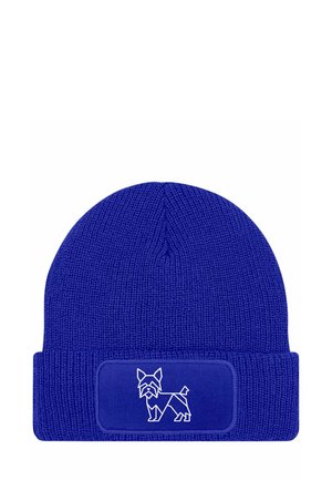 Beanie - yorkshire terrier blau