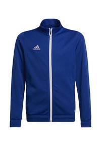 adidas Performance - ENTRADA 22 TRACK - Trainingsjacke - team royal blue Thumbnail-Bild 1