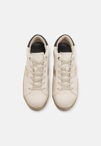 Paire de baskets basses beiges avec lacets beiges, languettes de talon noires et semelles marron clair, vues de dessus sur fond blanc.
