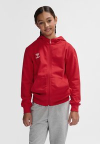 Roter Reißverschluss-Hoodie aus glattem Material, mit Frontlogo, Kängurutaschen und gerippten Bündchen sowie Kapuze. Kombiniert mit grauen Jogginghosen.