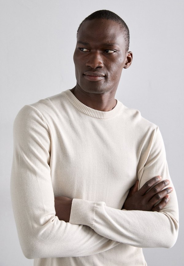 KEANE CREW NECK - Jumper - moonbeam3