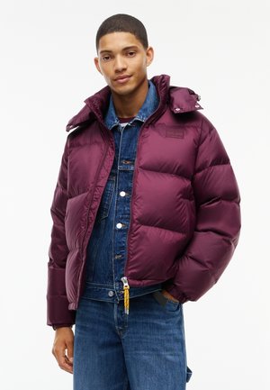 Junger Mann trägt eine bordeauxrote Steppjacke über einer blauen Jeansjacke und Jeans, steht mit einer Hand in der Tasche vor weißem Hintergrund.