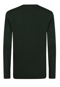 Maglione verde lavorato a maglia con scollo a V, maniche lunghe, orlo e polsini a coste. Il tessuto sembra morbido e liscio senza motivi visibili.
