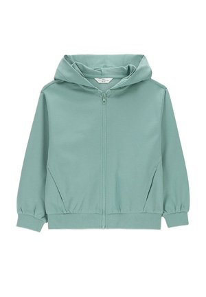 Jasnozielona bluza z kapturem zapinana na zamek, z długimi rękawami, przednimi kieszeniami, elastycznymi mankietami i kapturem.