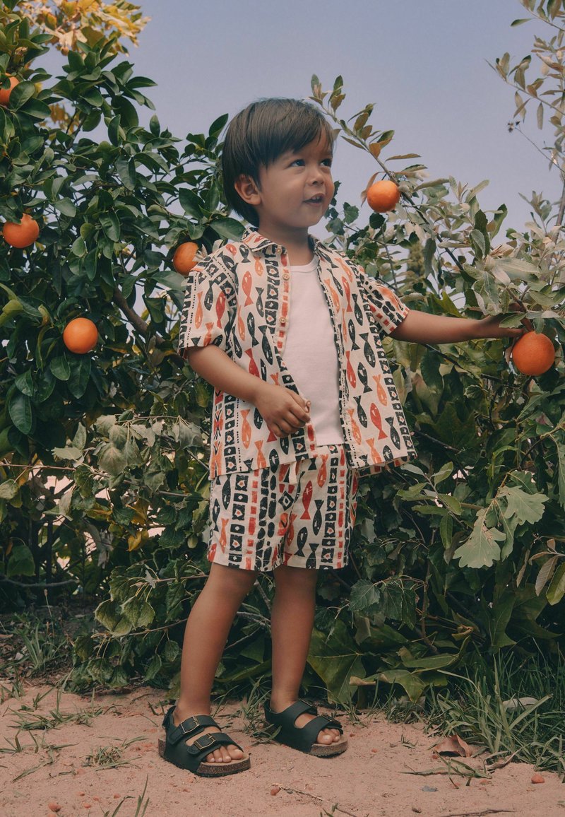 Niño pequeño con camisa estampada y pantalones cortos está junto a un naranjo, alcanzando para tocar naranjas maduras en un entorno de jardín.
