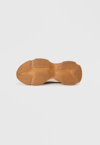 Steve Madden Baskets basses - ivy sepia