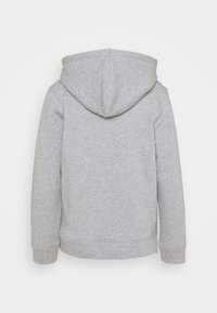 Sweat à capuche gris clair vu de dos, avec manches longues et poignets et bas côtelés.