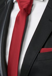 BOHEMIAN REVOLT Tie - burgundy