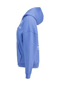 Blue hooded sweatshirt made of cotton blend fabric. Features a kangaroo pocket, ribbed cuffs, and logo detailing on the front.