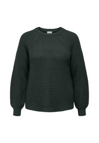 Pull en maille vert foncé à manches longues, col rond, avec poignets et ourlet côtelés, présenté sur fond blanc.