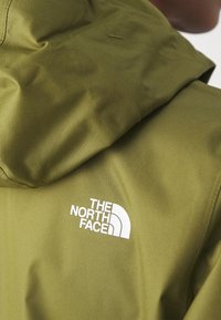 Personne portant une veste à capuche vert olive avec un logo blanc The North Face sur la partie haute du dos près de l'épaule.