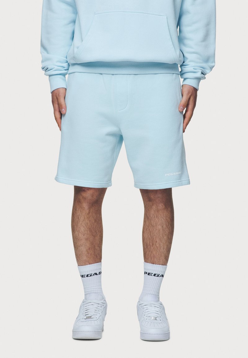 Pegador LOGO - Short - washed baby blue