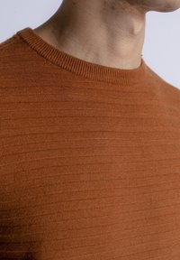 Maglione a maglia color ruggine con colletto a girocollo a costine, caratterizzato da un materiale strutturato a righe. La vista ravvicinata mette in evidenza i dettagli del tessuto.