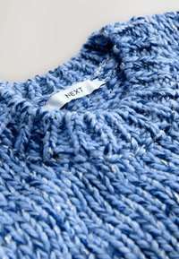 Blue knitted sweater with thick yarn showing a white clothing label with the brand name "NEXT" at the neckline.