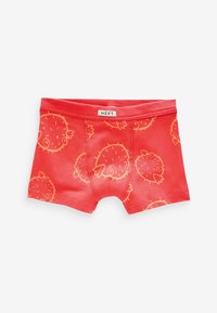 Next SOFT WAISTBAND 5 PACK - REGULAR FIT - Panties - seaside print