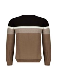 Bruine en zwarte gestreepte trui met lange mouwen, geribbelde manchetten en een ronde hals. De stof heeft een gladde textuur met een subtiele glans.