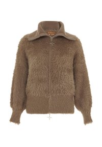 CO-BRANDED WITH NALLY - Vinterjakker - taupe