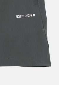 Prenda de color gris oscuro con una textura suave, diseño sólido y logo "ICEPEAK" en blanco cerca del dobladillo. Incluye un detalle de cremallera en el lateral.
