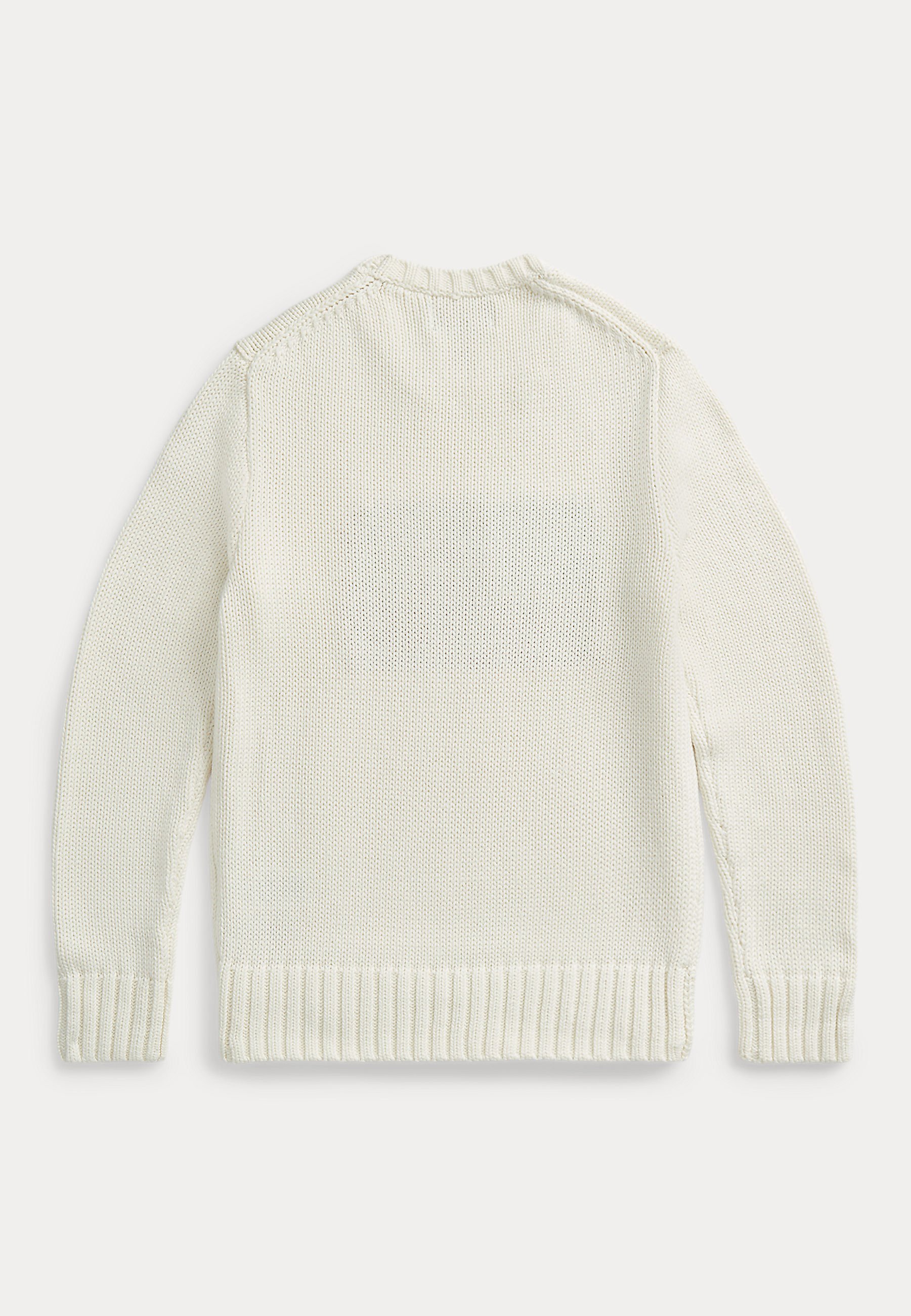 Polo Ralph Lauren THE ICONIC FLAG SWEATER 7-14Y - Pulover - nevis