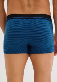 Boxer briefs da uomo in righe blu e nere, con una fascia elastica nera e un tessuto liscio e elasticizzato. Lunghezza gamba corta.