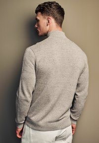 Next ZIP NECK - Džemper - neutral
