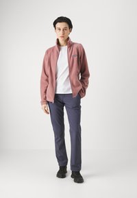 Columbia BENTON SPRINGS™ FULL ZIP - Giacca in pile - fig