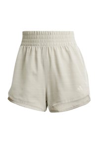 PACER STRIPES HIGH RISE - Sportovní kraťasy - alumina mel beige