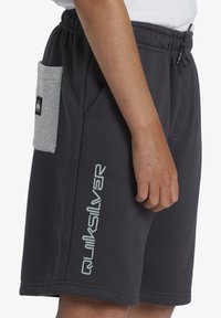 Quiksilver TAKE US BACK - Shorts - kta