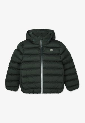 Lacoste PUFFER - Zimska jakna - sinople
