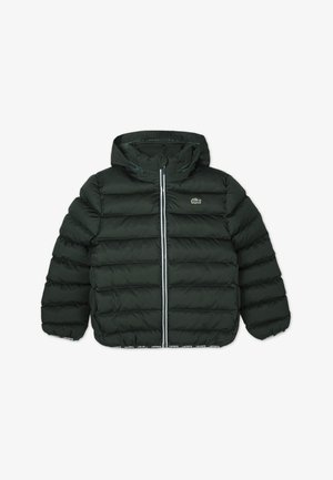 Lacoste PUFFER - Winter jacket - sinople