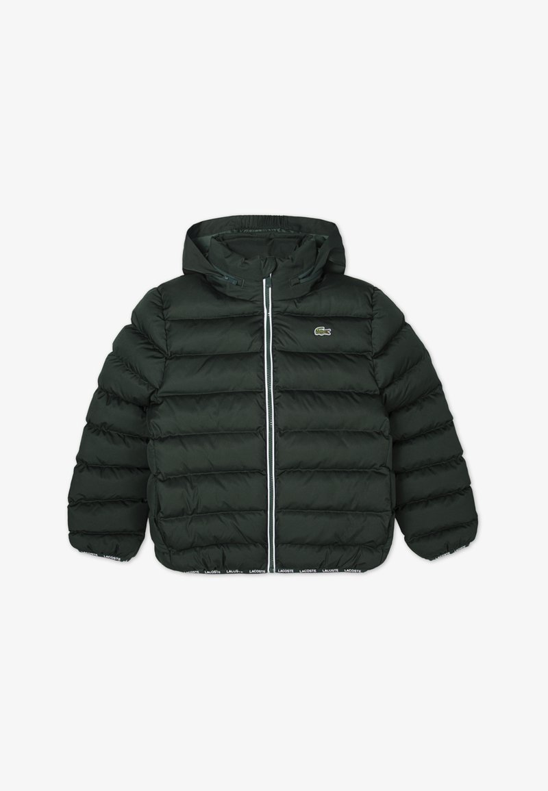 Lacoste PUFFER - Casaco de inverno - sinople