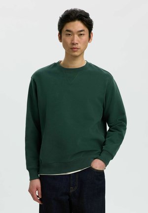 Jeune homme aux cheveux noirs portant un sweat-shirt vert foncé à manches longues et un jean foncé, debout avec une main dans la poche devant un fond uni.