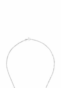 Collana in argento con un design delicato e attorcigliato. Presenta una chiusura a moschettone e una superficie liscia e riflettente; appare leggera e flessibile.